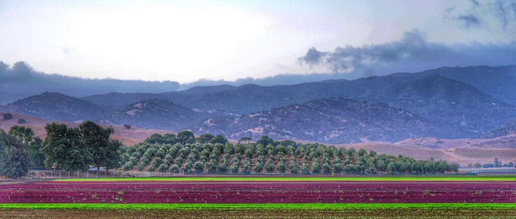 Imagen agrícola de San Benito